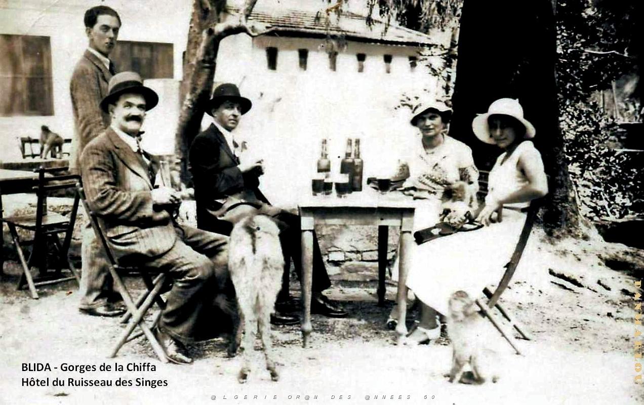Blida - Gorges de la Chiffa - Hotel Ruisseau des Singes - Aperitif.jpg